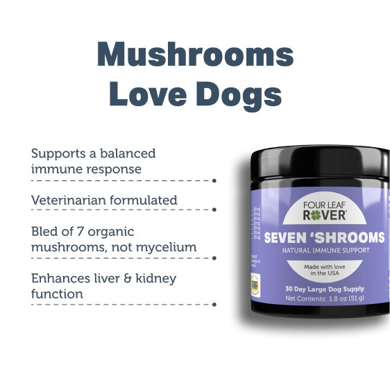 PBI-Benefits-Seven _Shrooms